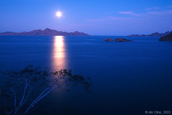 twilight moon, sea of cortez001_std.jpg